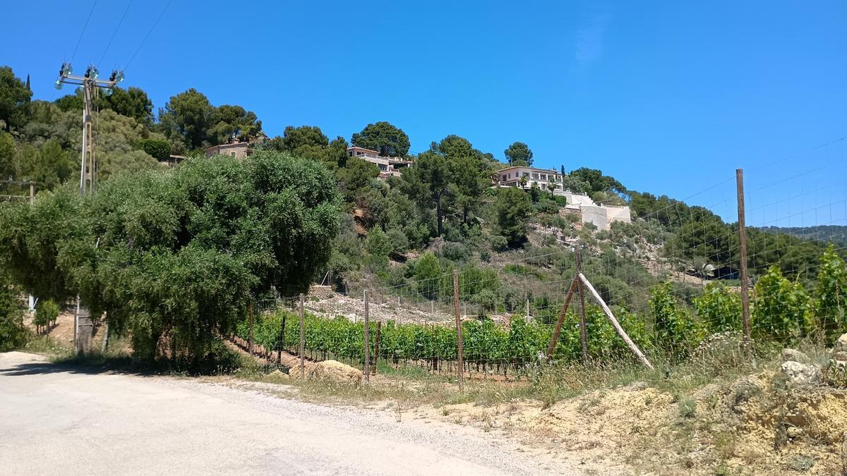 Así es la urbanización de Son Font, en Calvià vila