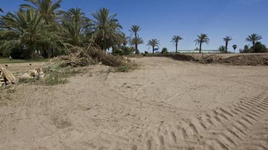 Medi Ambient considera que el festival no afectará a flora y fauna protegida de Els Peixets