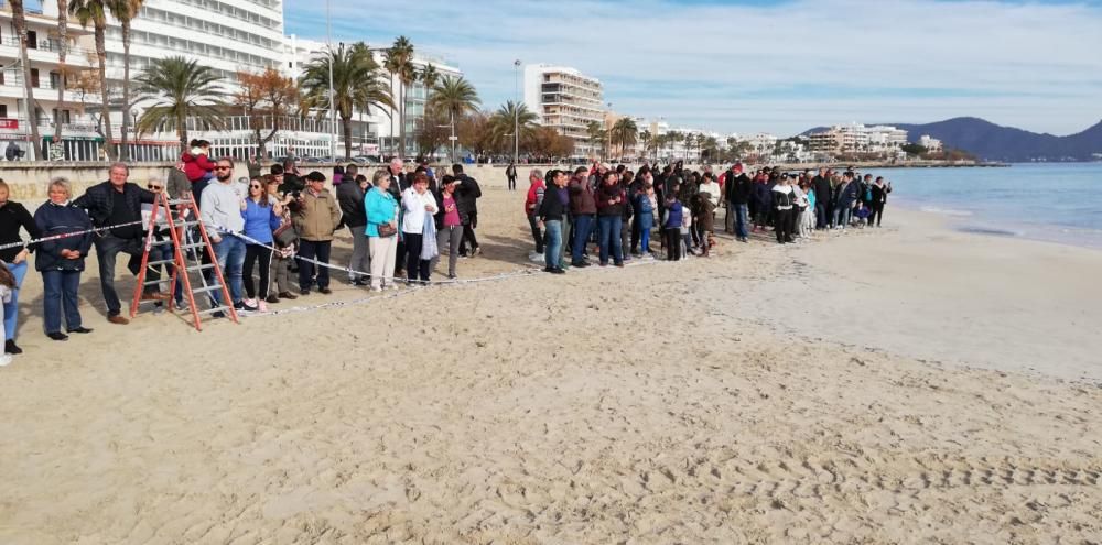 Una ballena muere en la playa de Cala Millor