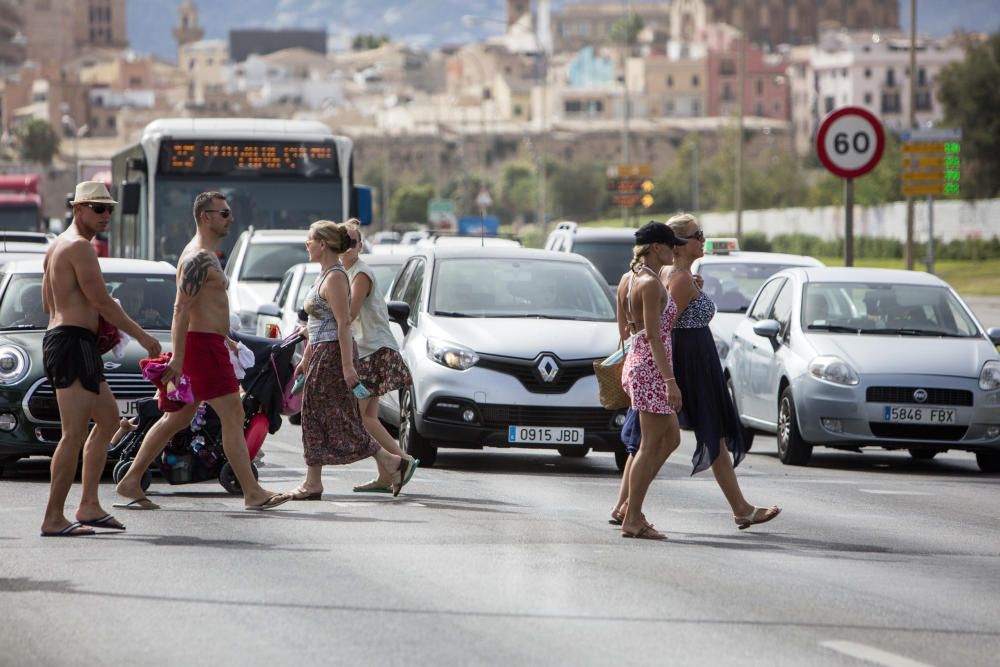 Hitzewelle, so kommt Mallorca ins Schwitzen
