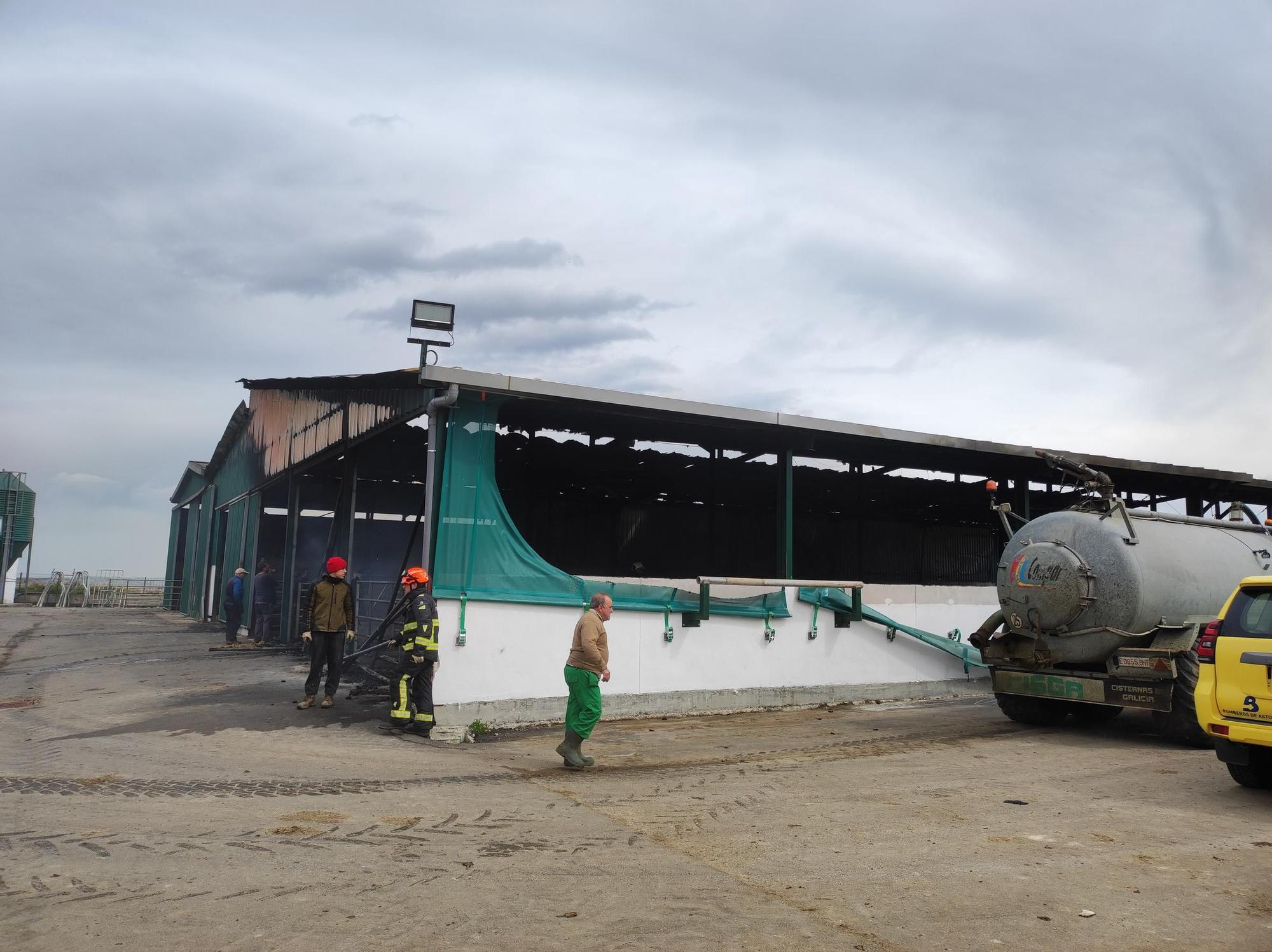 En imágenes: El fuego devora una nave ganadera en Otur (Valdés) y causa daños a un centenar de vacas