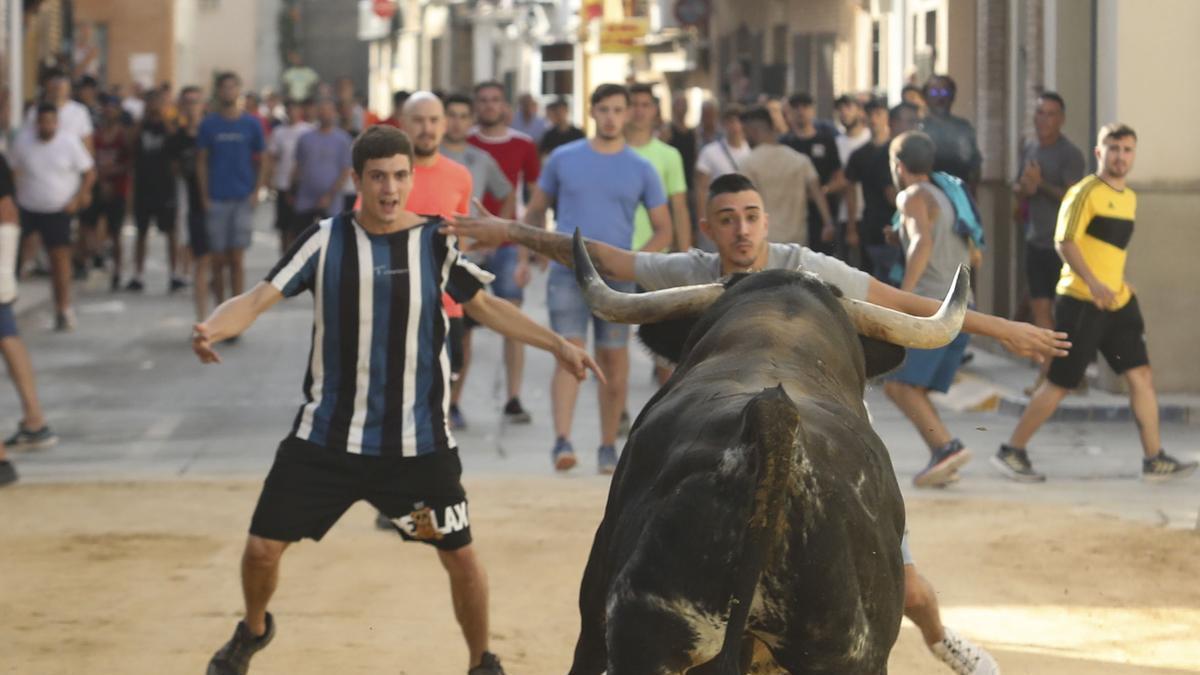 Una imagen de los festejos de los 'bous al carrer'