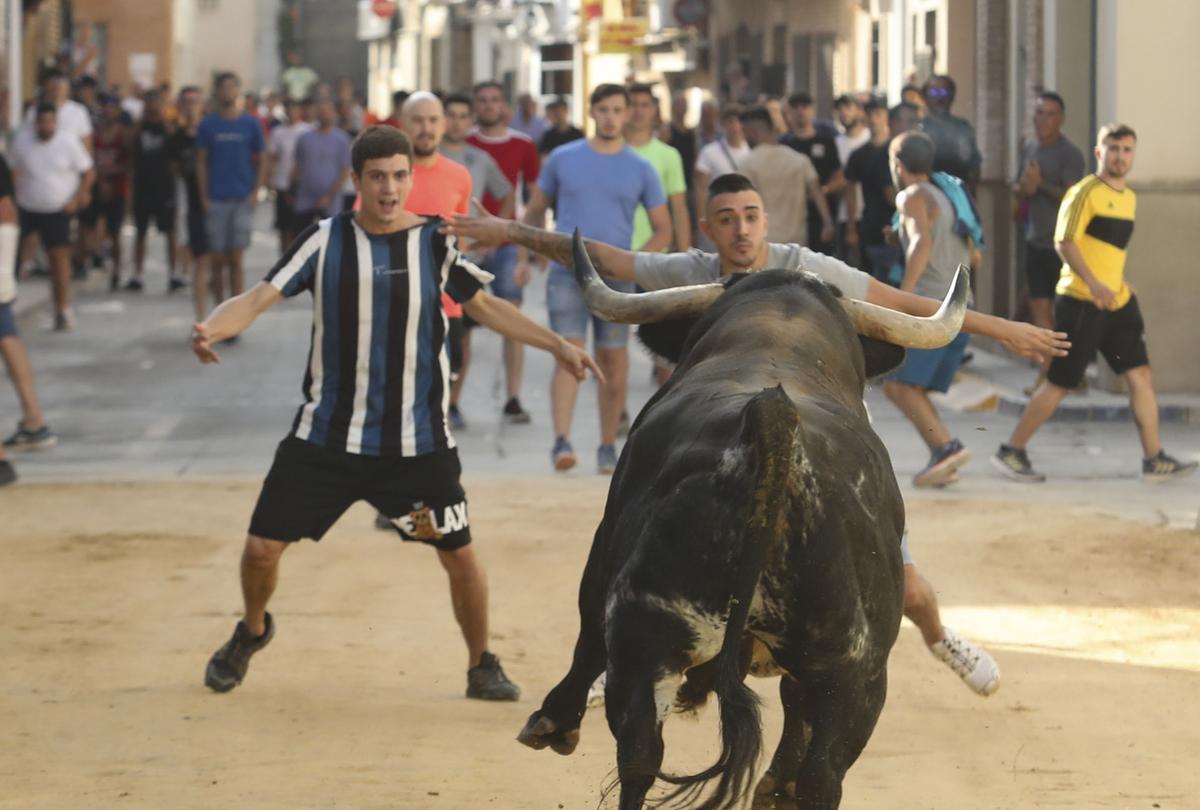 Una imagen de los festejos de los 'bous al carrer'