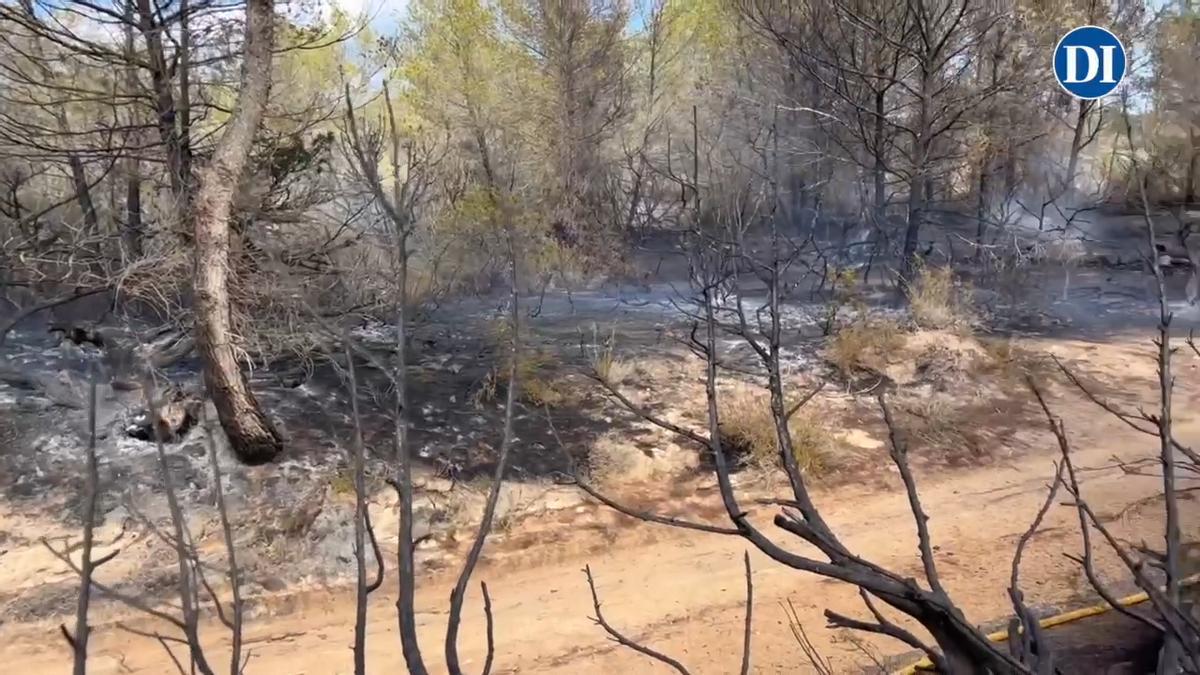 Vídeo: Incendio en la zona de es Mal Pas, en Migjorn, en Formentera