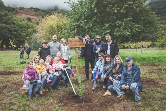 Foresta planta 2.000 árboles en homenaje al empresario Sergio Alonso