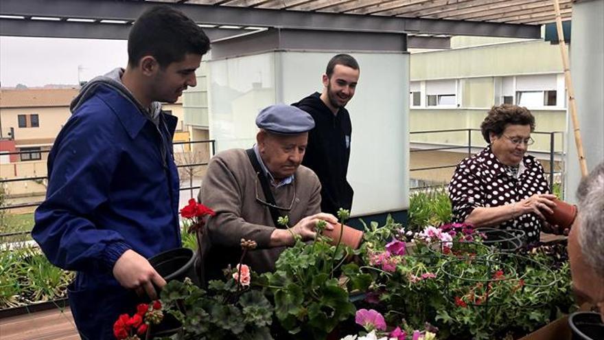 Estudiantes y residentes colaboran para crear un jardín terapéutico