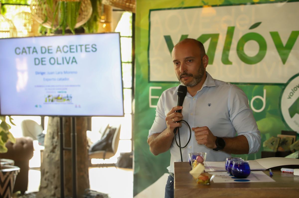 XI Premios a los mejores aceites de oliva virgen extra del Valle del Guadalquivir