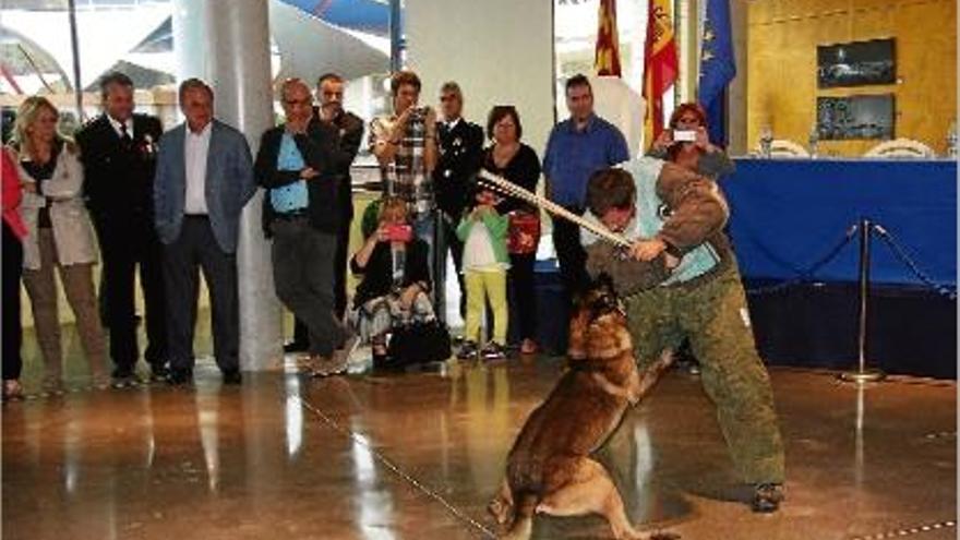 La Diada de la Policia Local va comptar amb una demostració de la tasca que fa la Unitat Canina K-9.