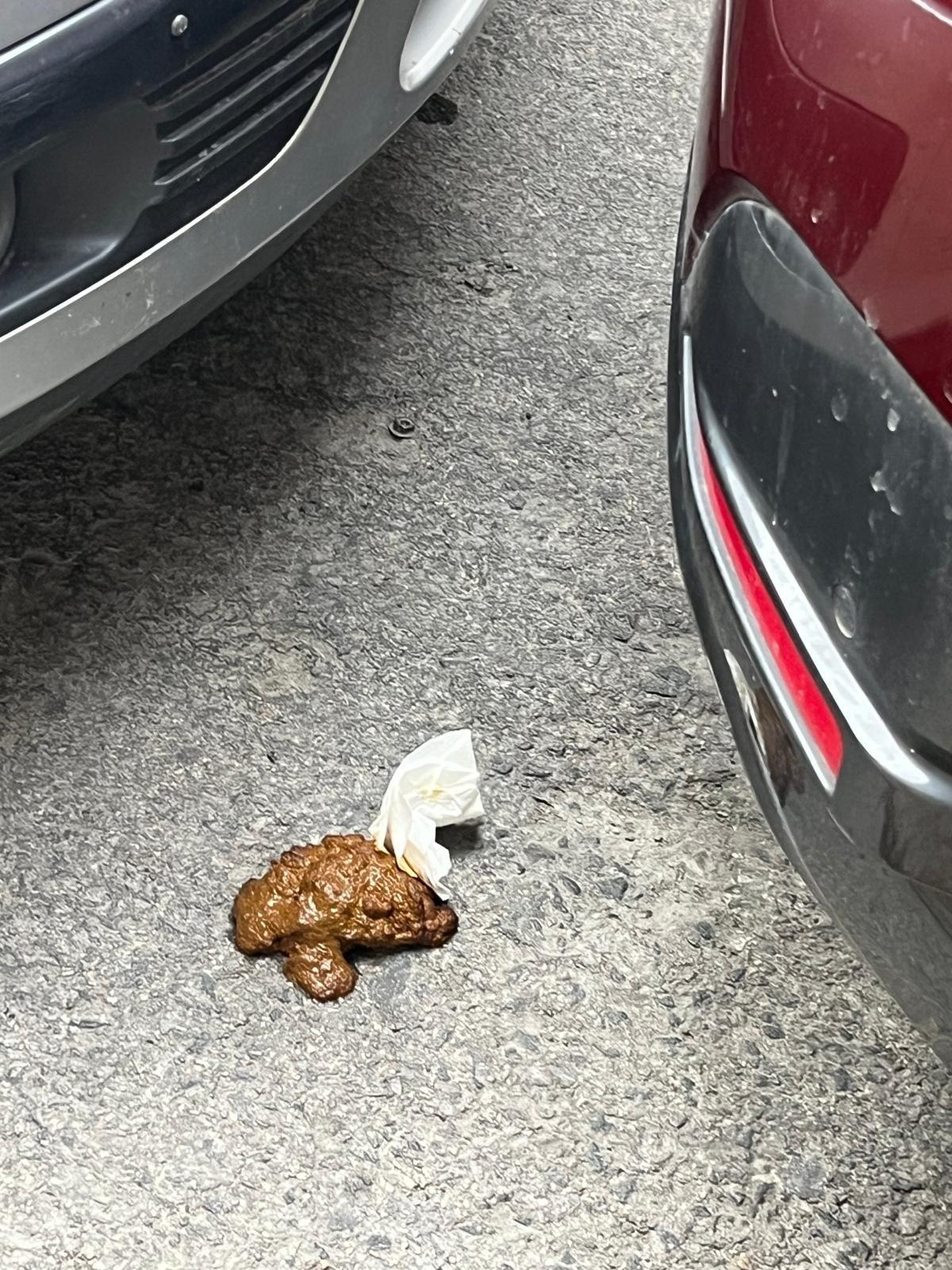 Oculta entre dos coches, una hez humana en las calles de la Roqueta