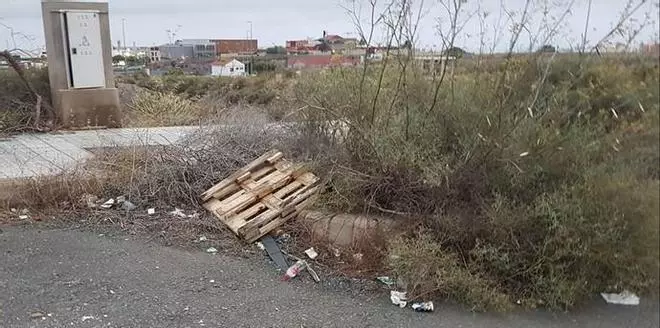 Una calle de Almatriche, entre escombros, ratas, suciedad y malas hiervas