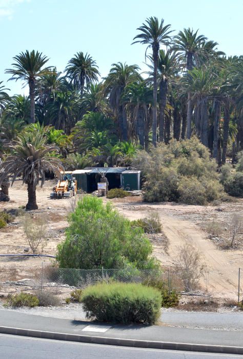 PARQUE TONY GALLARDO OBRAS