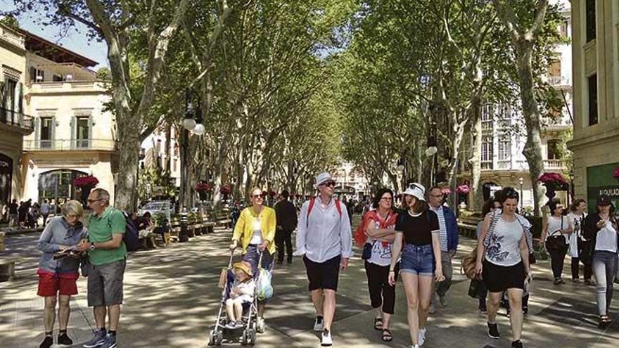 Turistas paseando por el centro de Palma.