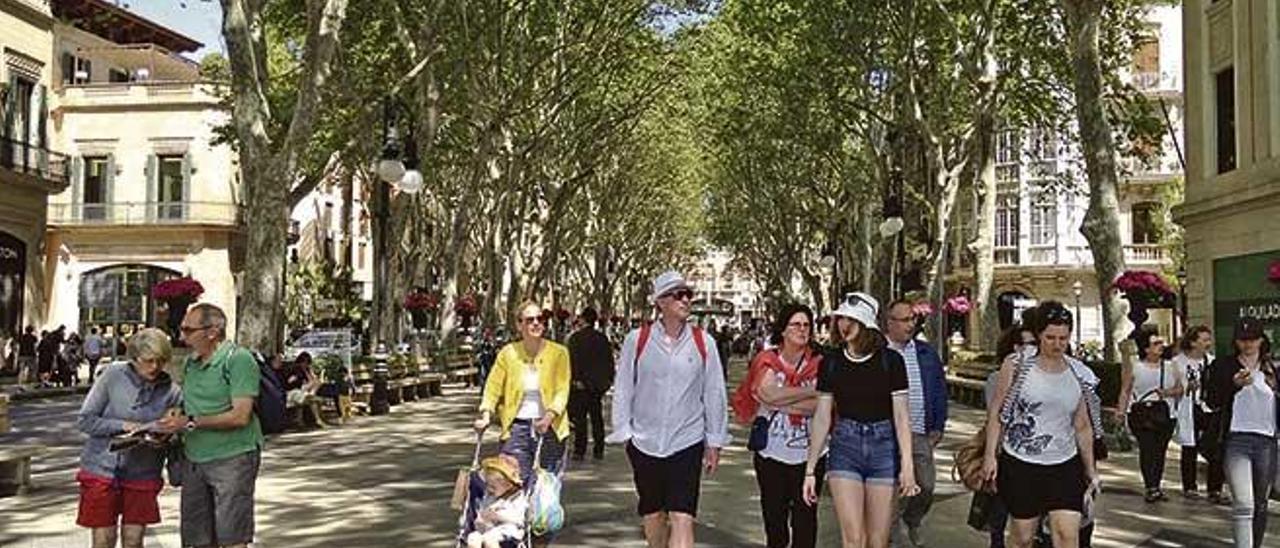 Turistas paseando por el centro de Palma.