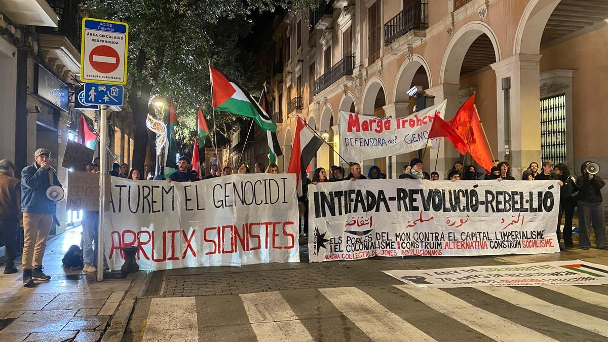 Casi un centenar de personas se manifiestan en Palma en contra de la ...
