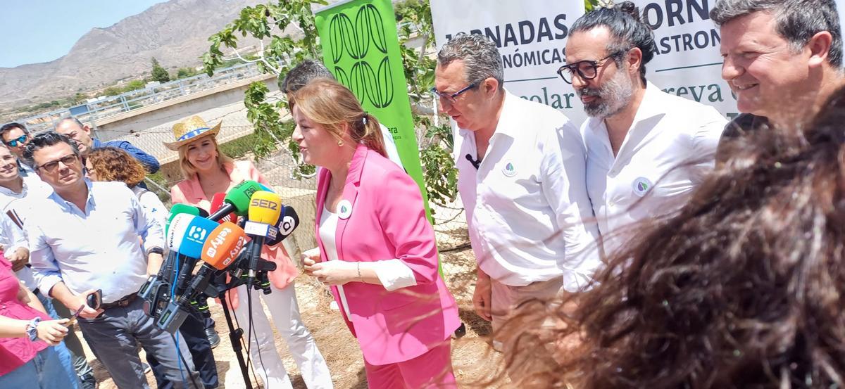 Acto del corte de la breva en Albatera 2024 Acto del corte de la breva en Albatera 2024