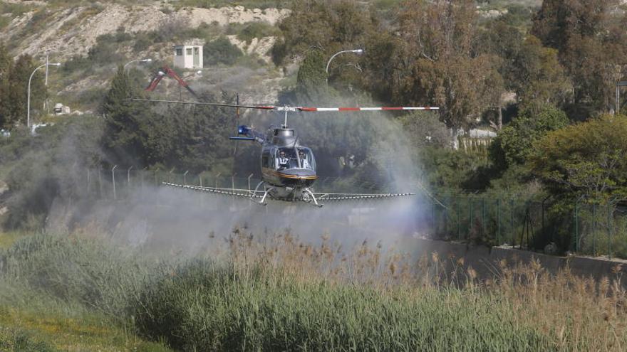 Un instante de los trabajos de fumigación de hoy