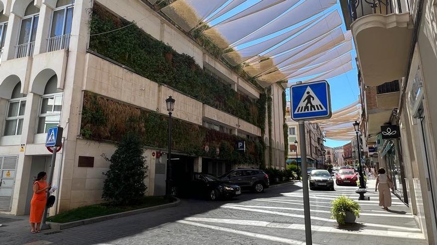 El gobierno local de Lucena ultima la retirada del jardín vertical del ayuntamiento