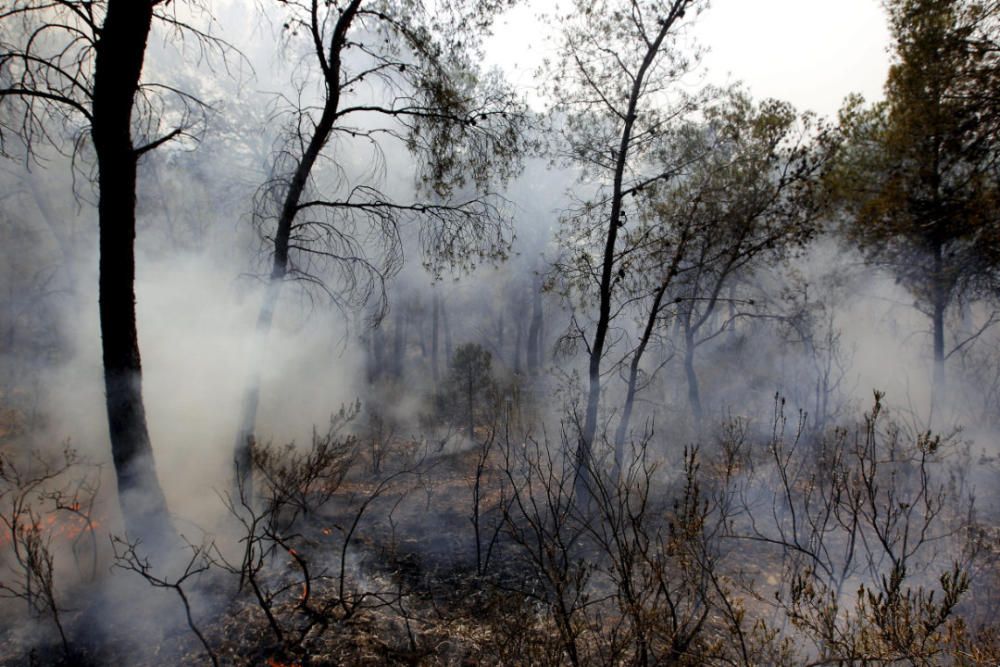 Andilla: ocho años desde su gran incendio