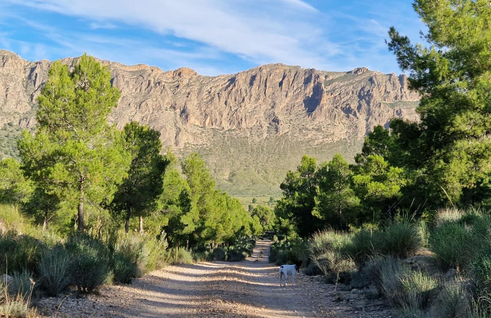 Uno de los parajes que se visitará en la ruta