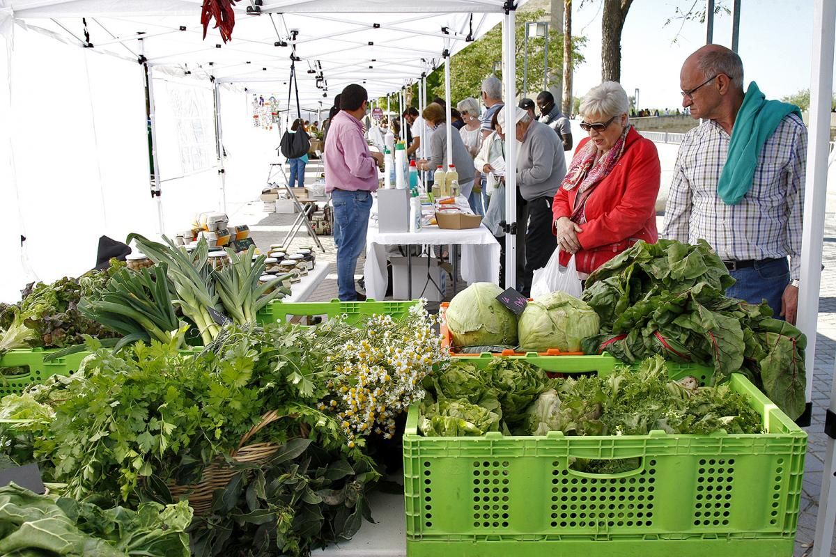 Fotogalería / Ecomercado en La Calahorra