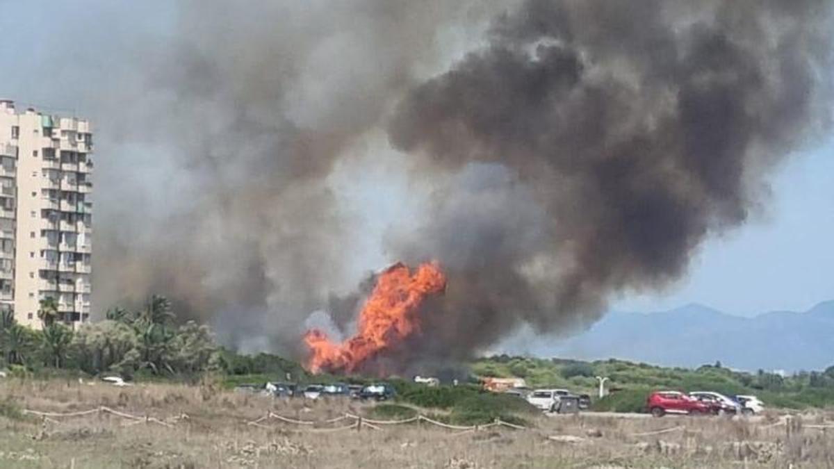 Incendio en La Devesa de El Saler