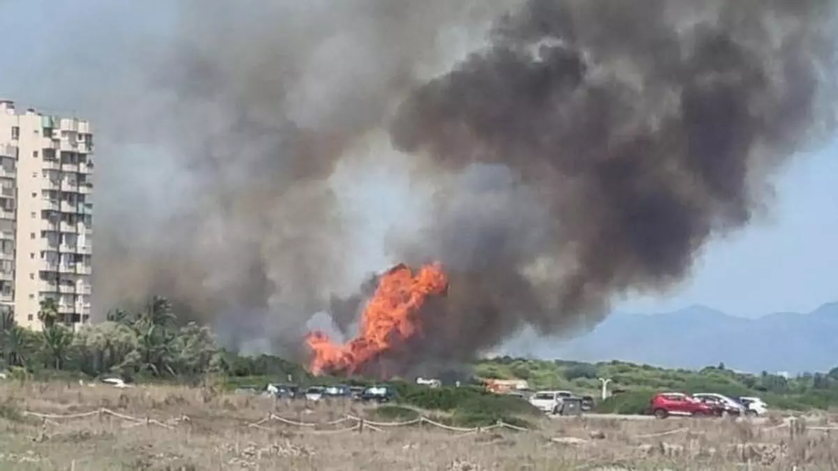 Incendio en La Devesa de El Saler