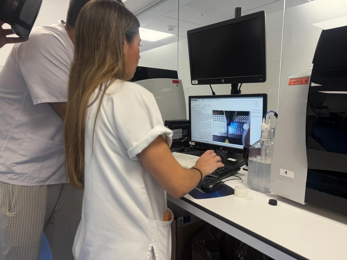 Pruebas para la detección de la circulación del virus del Nilo en mosquitos.