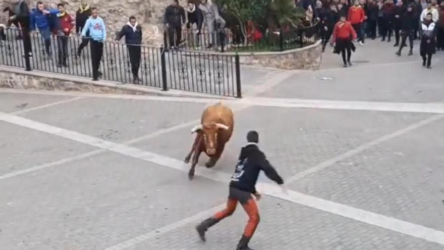 Los 3 pueblos que hacen toros en Castellón este último fin de semana de febrero: hay hasta un carnaval taurino