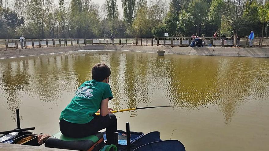 Un joven pescador, durante la competición. | Cedida