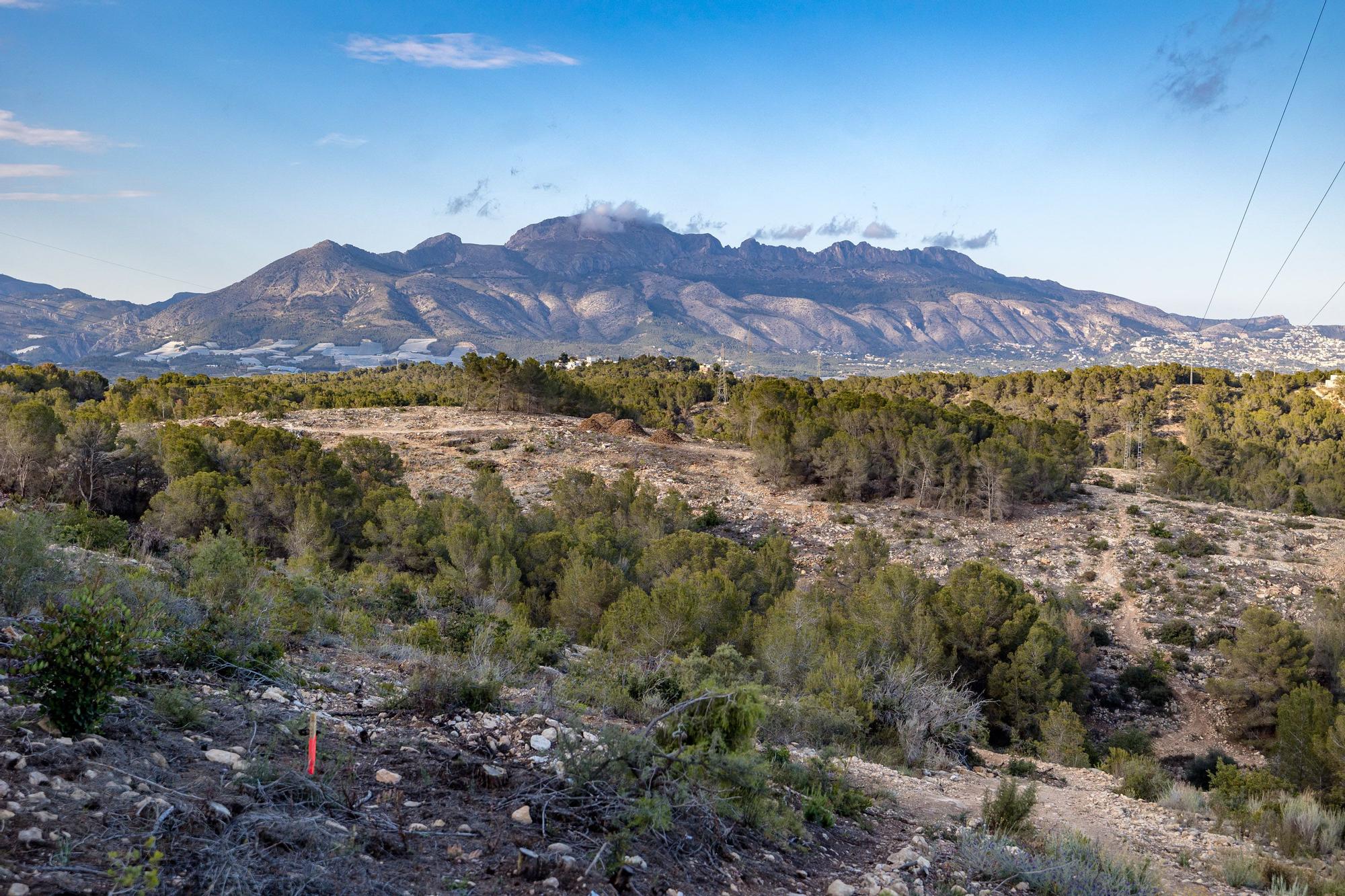 Transición Ecológica abre un expediente sancionador al Ayuntamiento nuciero por presuntos daños medioambientales y el incumplimiento de la Declaración de Impacto Ambiental en la construcción del PAI de La Serreta