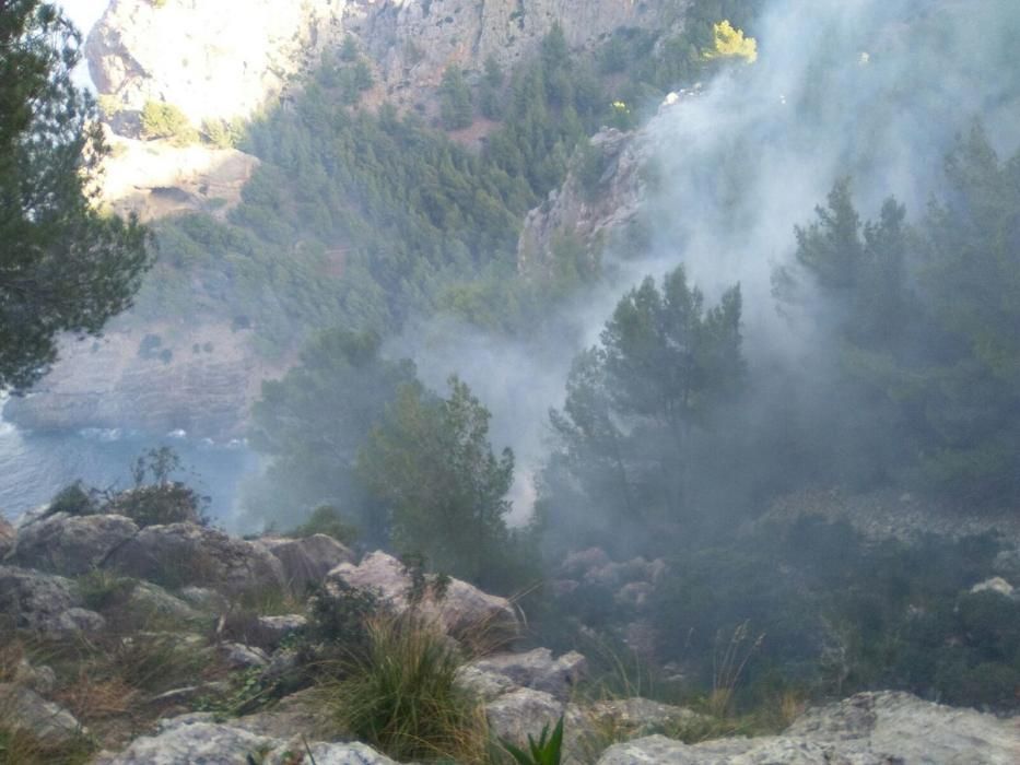 Waldbrand bei Cala Tuent am Mittwoch, 23. November 2016