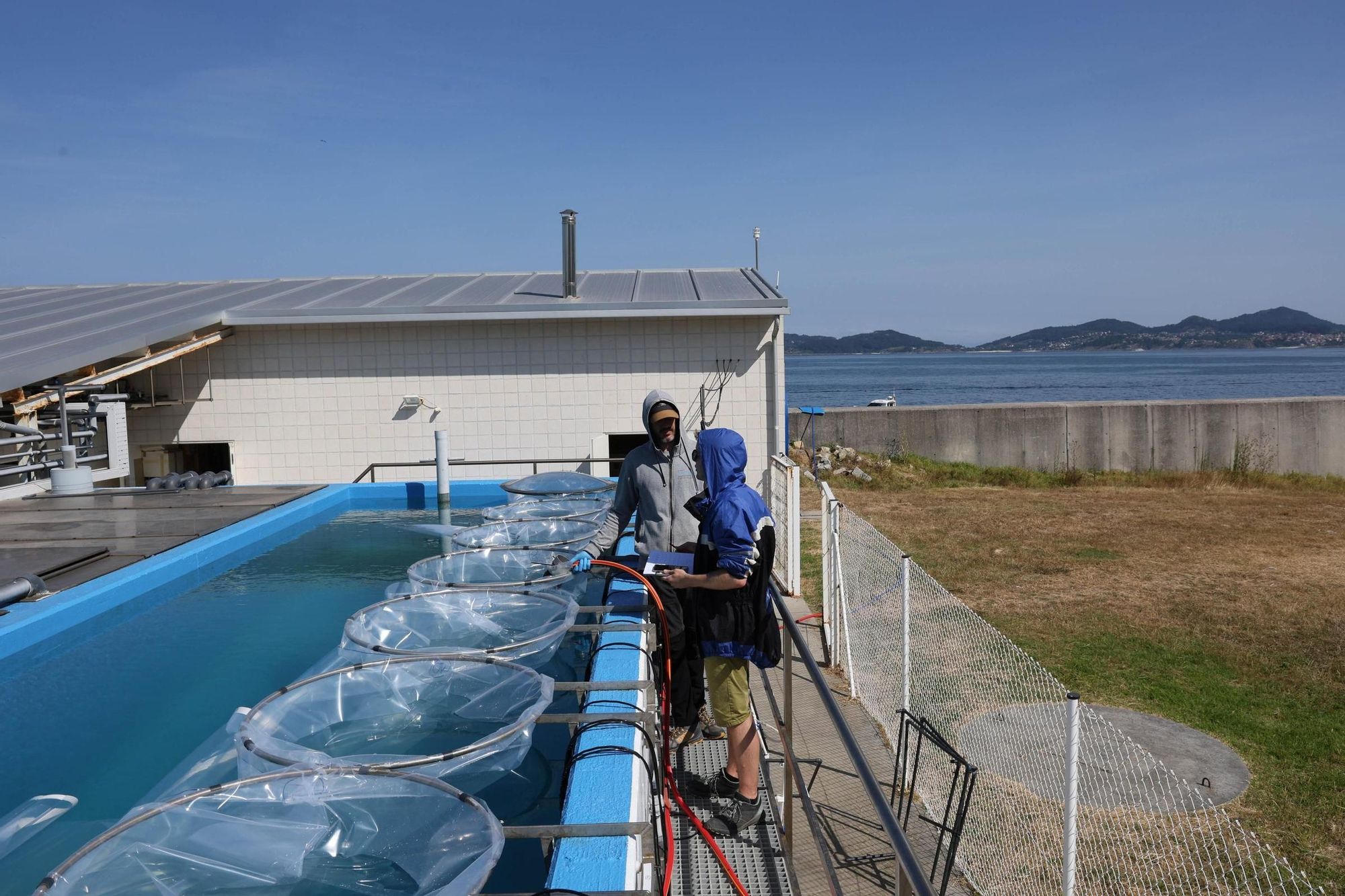 Toralla, capital de la investigación de las olas de calor y las mareas rojas