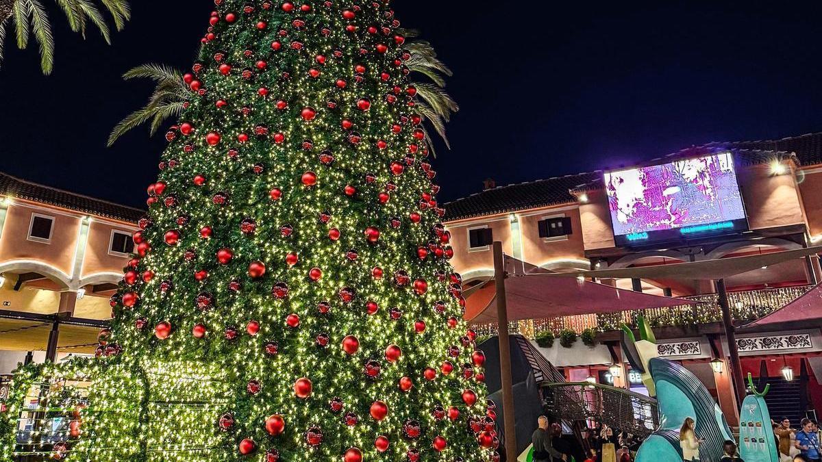 Árbol de Navidad, de 14 metros, en Plaza Mayor.
