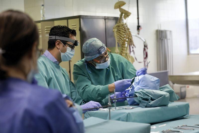 Curso de operaciones de nariz en la Facultad de Medicina