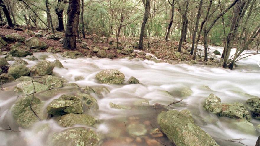 Lugares para ver en Mallorca tras la tormenta