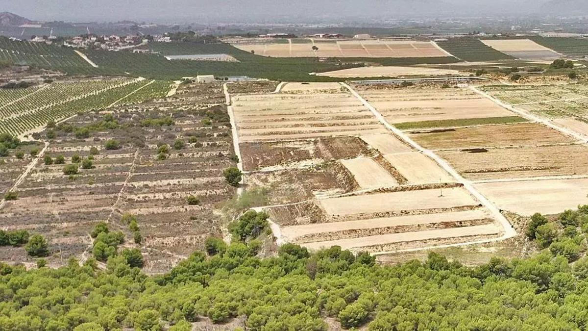 Zona en la que se propone la planta solar en Almoradí. En la zona inferior el paraje del Hoyo Serrano