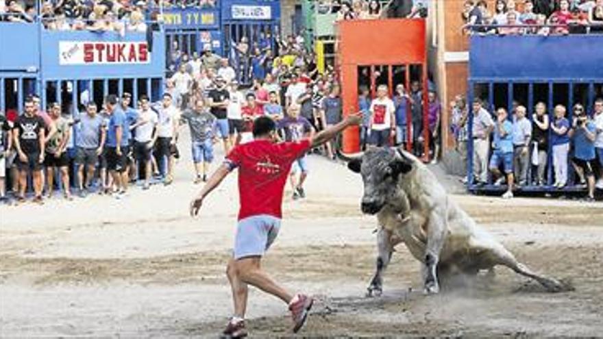 El recinto taurino de l’Alcora vibra con los últimos cerriles de fiestas