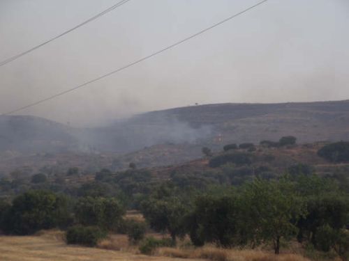 Incendio en los alrededores de Andorra (Teruel)