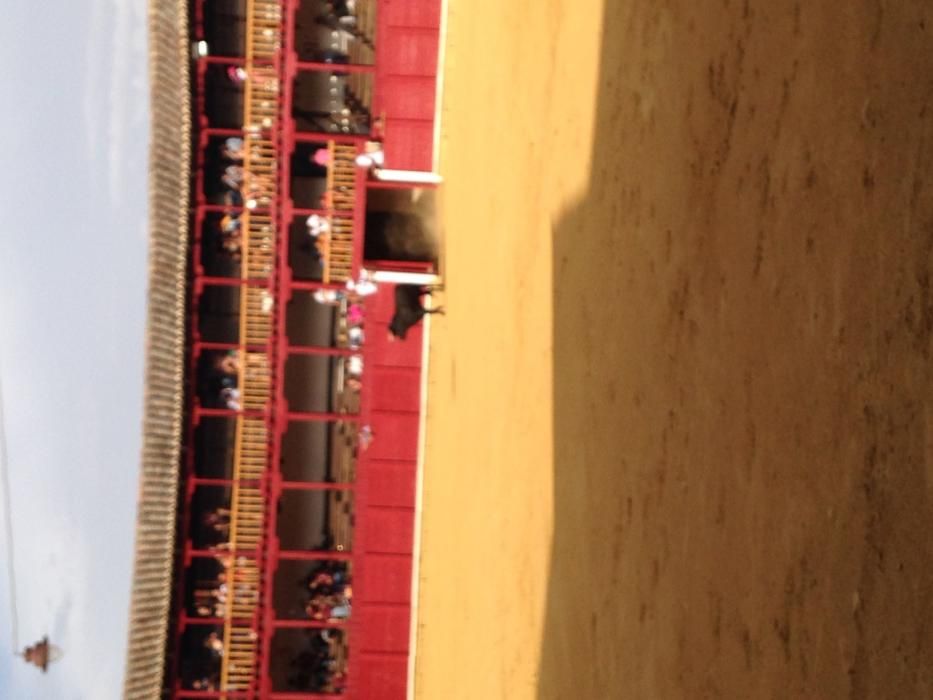 Fiestas Toro- concurso de jóvenes cortadores