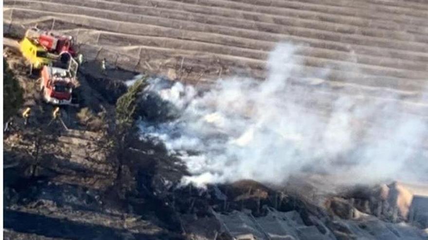 Incendio en una parcela agrícola de Alhama