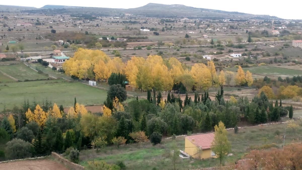 Imagen aérea del cámping municipal de Vilafranca.