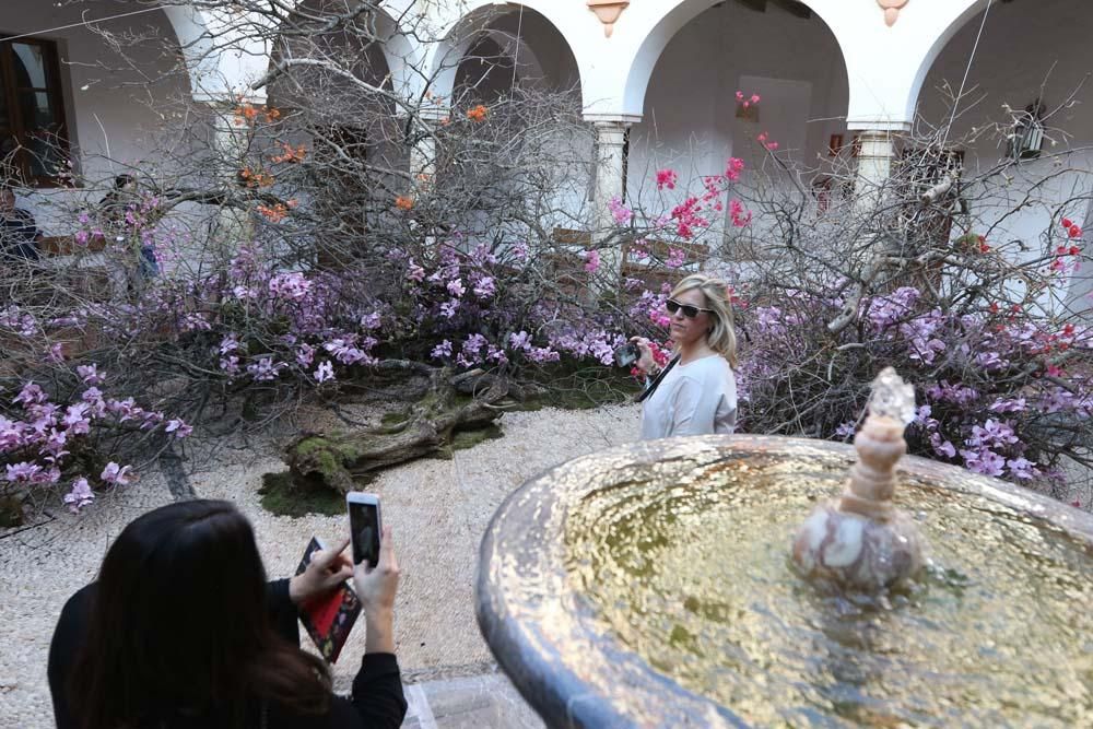 Los mejores artistas florales del mundo en Córdoba