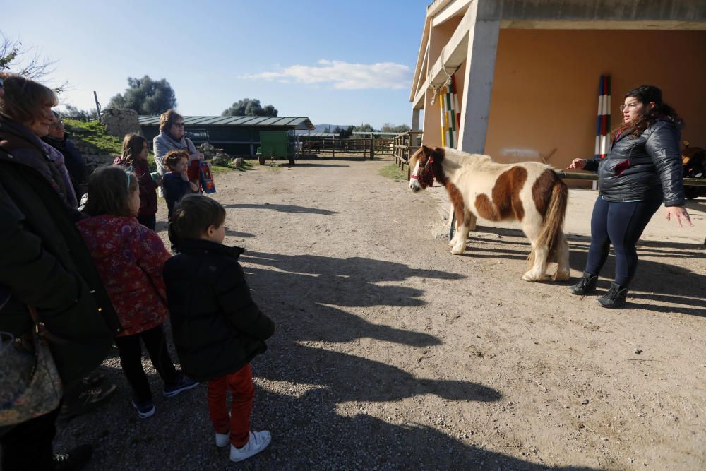 Großeltern und Enkel auf dem Pferd