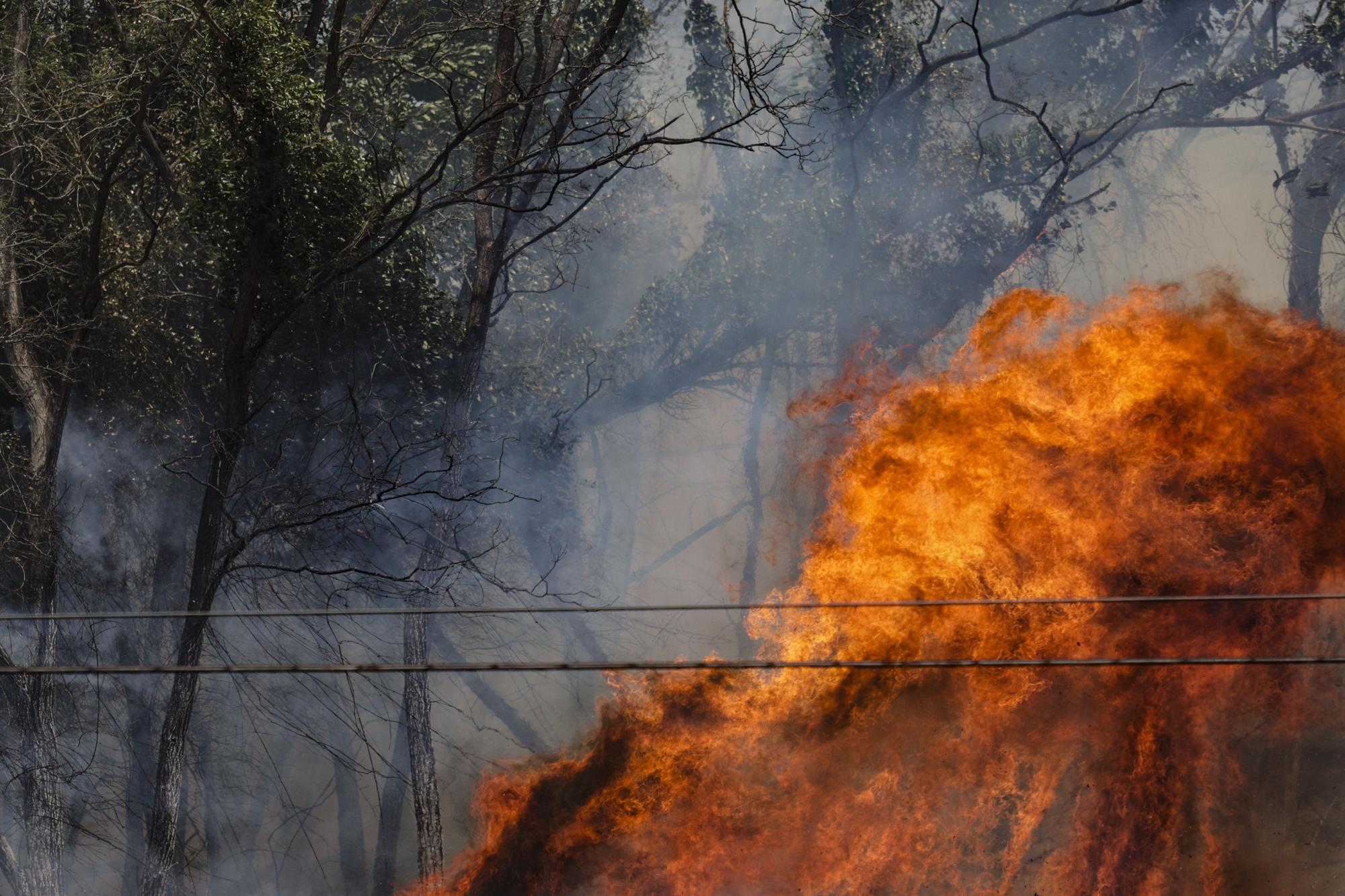 La lucha contra las llamas en el monte Naranco