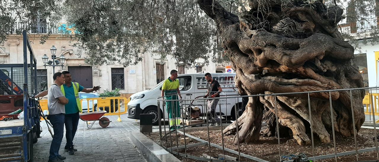 Sbert dirigió ayer los trabajos de colocación de la verja.