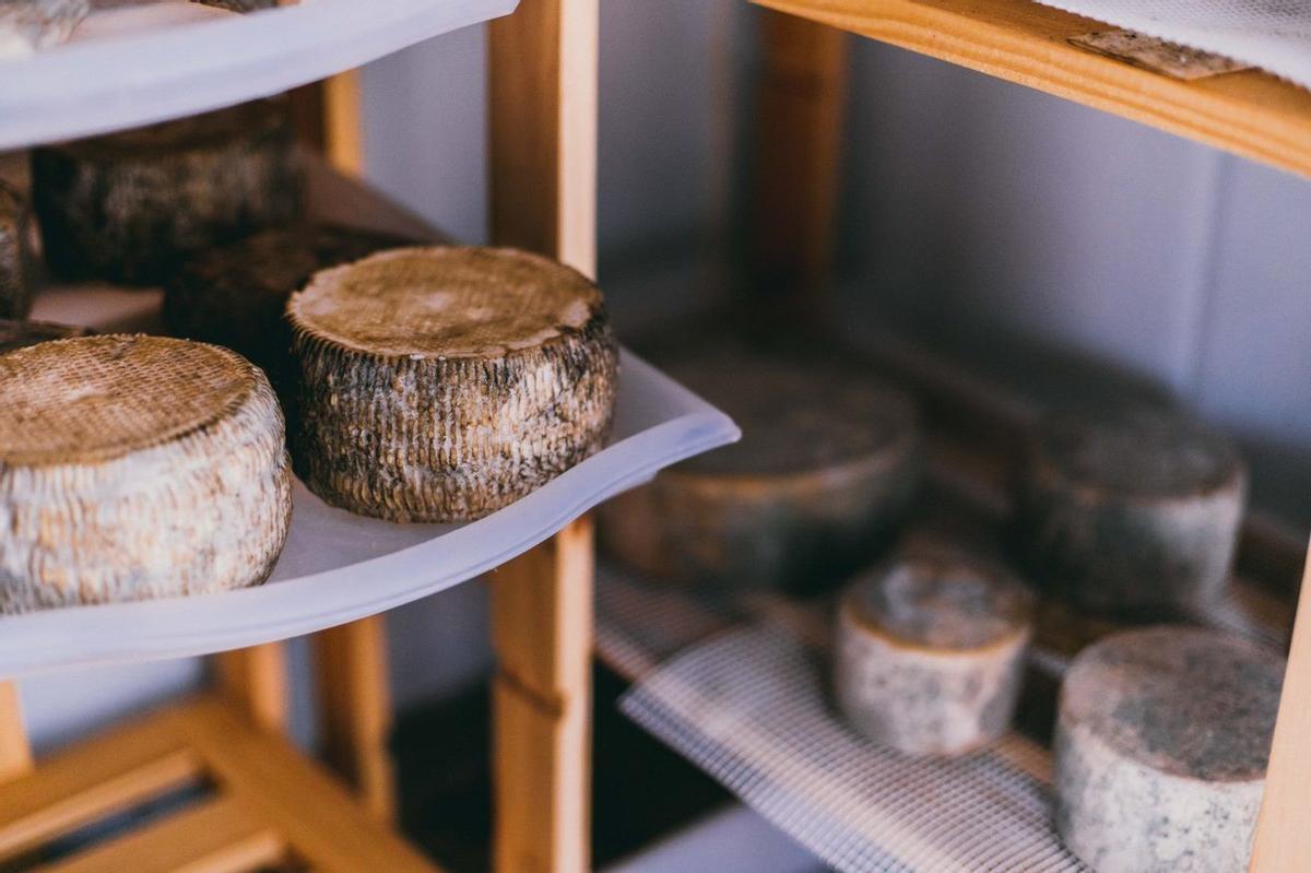 El queso asado con mojos es uno de los entrantes más característicos de la gastronomía canaria