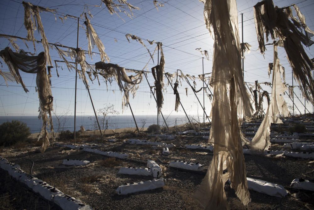 Fotos de invernaderos abandonados en el Sur de ...