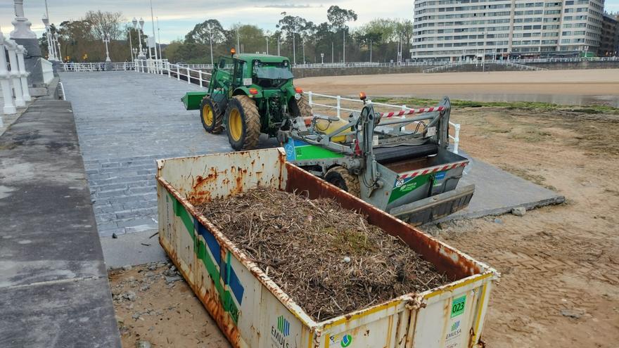 Emulsa realiza labores de cribado de arena seca en la playa de San Lorenzo