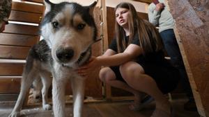 Una empleada del refugio temporal para animales afectados por la guerra de Ucrania, instalado en Kiev, examina a un perro, antes de sacarlo de paseo por un parque cercano. En este centro, muchos animales que han perdido a sus dueños o han resultado heridos tienen la oportunidad de empezar una nueva vida y encontrar nuevos propietarios.