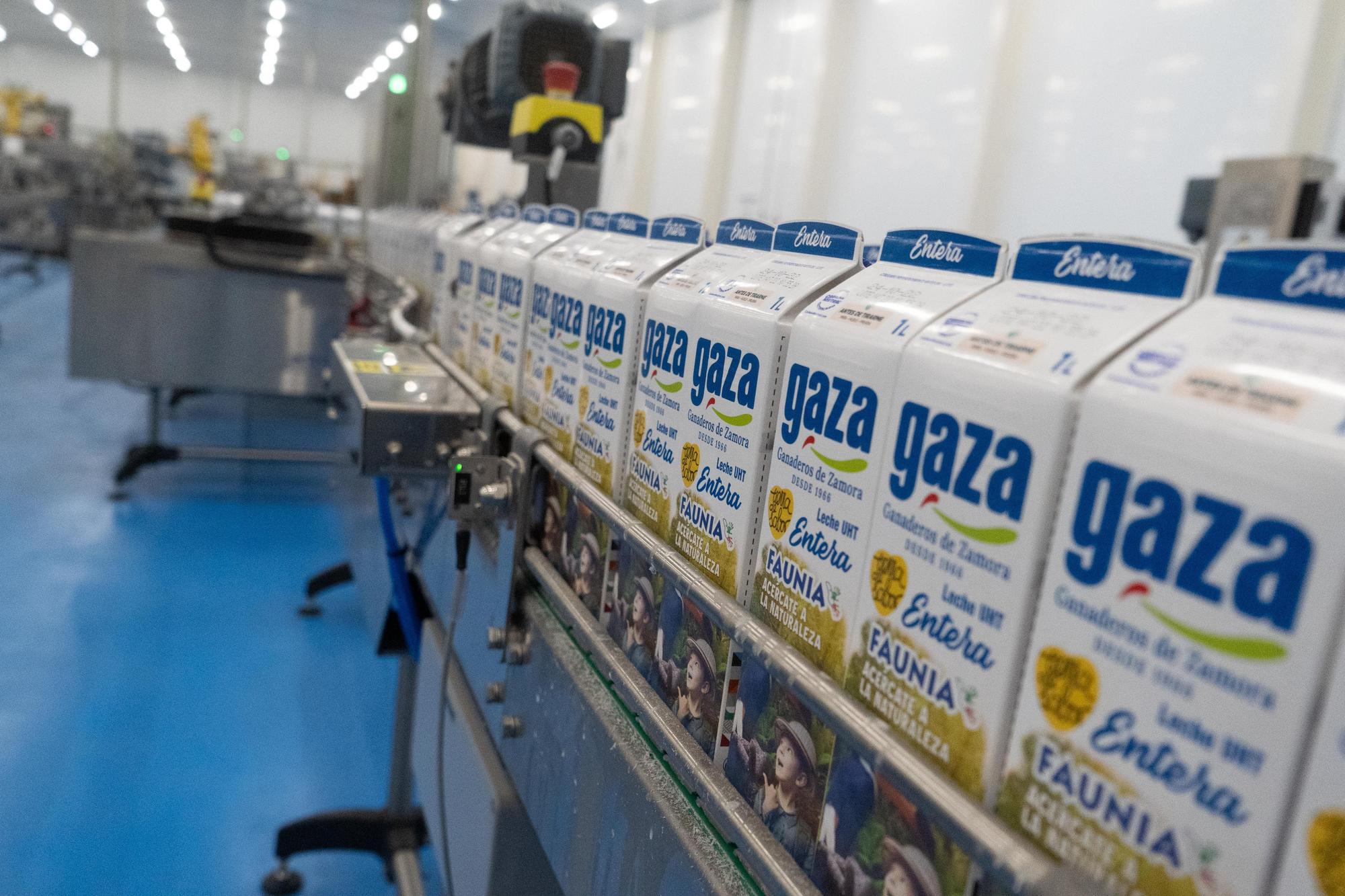 GALERÍA | Así es la nueva fábrica de Leche Gaza en Coreses